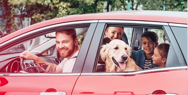 Mão com máscara aplicada