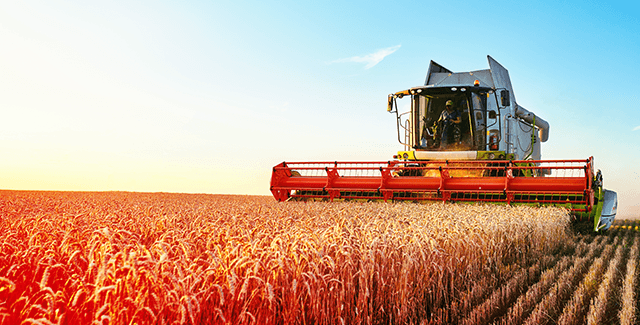 Mão com máscara aplicada