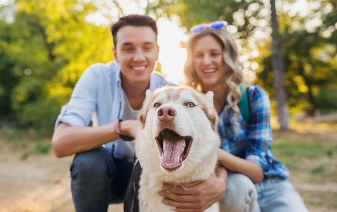 Qual a melhor hora de ter um pet?
