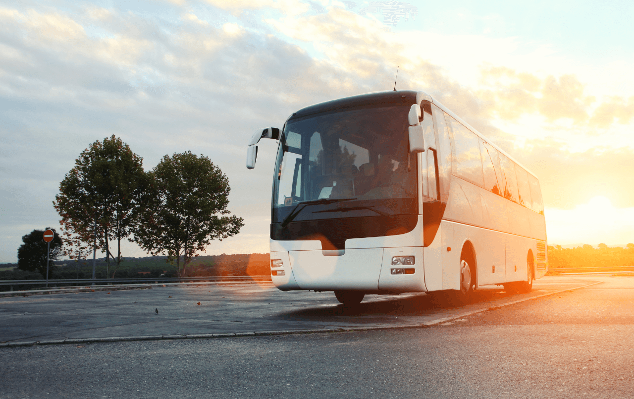 Melhores ônibus para comprar!