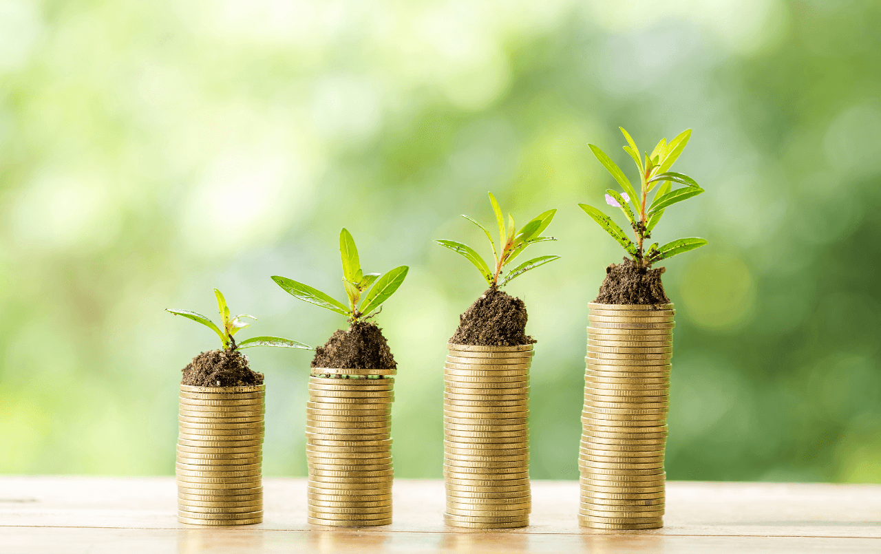 Educação financeira: entenda o conceito