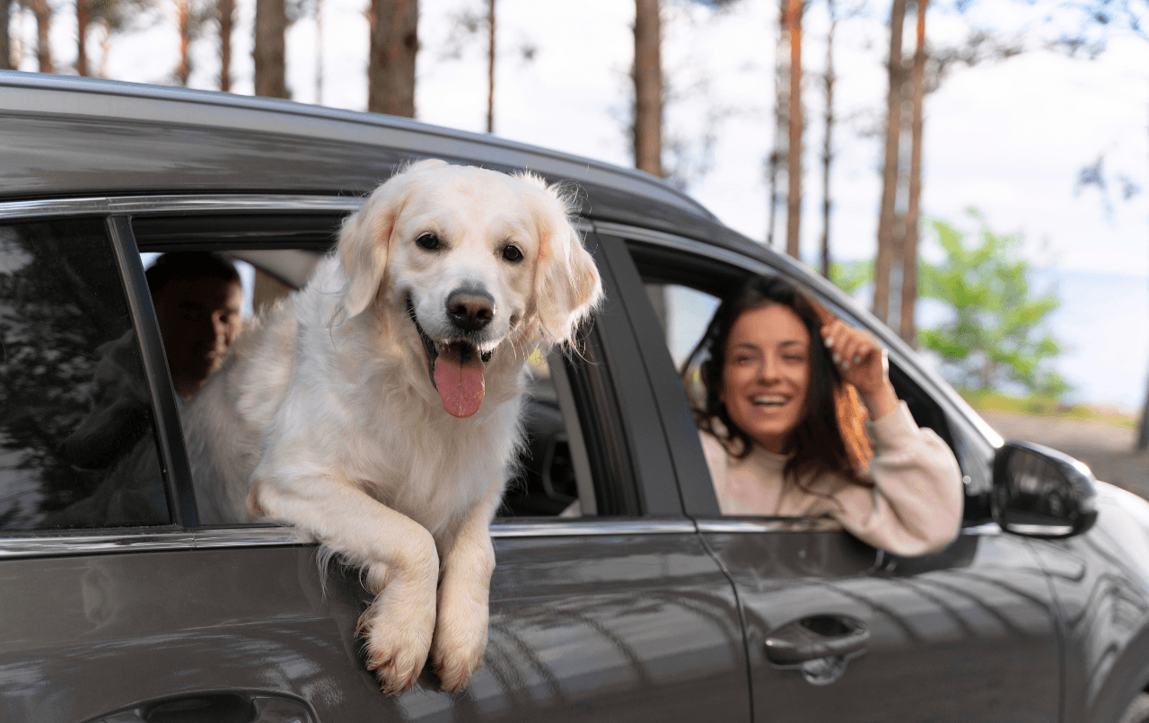 Entenda como o consórcio de automóveis te ajuda