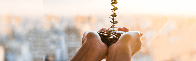 Conheça 4 opções para quem quer começar a investir