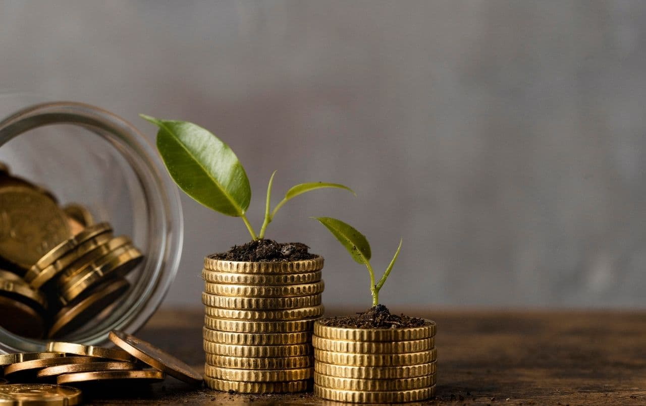 Guia definitivo de como começar a poupar