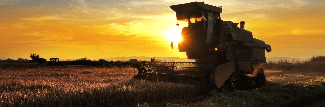 Consórcio no agronegócio: diferentes usos do mecanismo