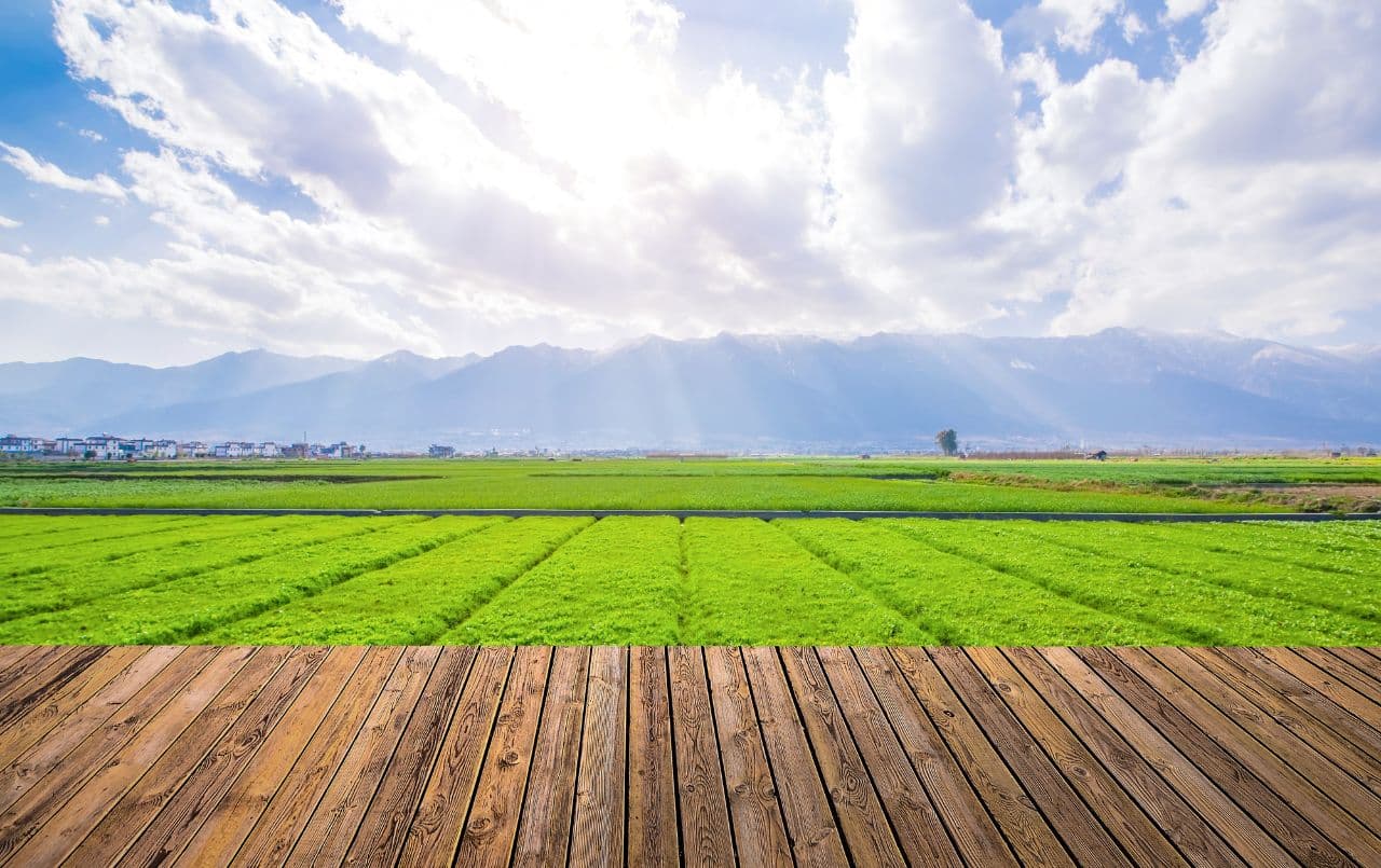 Vale a pena comprar um terreno?